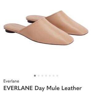 Everlane Leather Slip-On Mules in Nude Beige 9.5